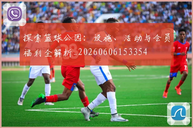 探索篮球公园：设施、活动与会员福利全解析_20260606153354