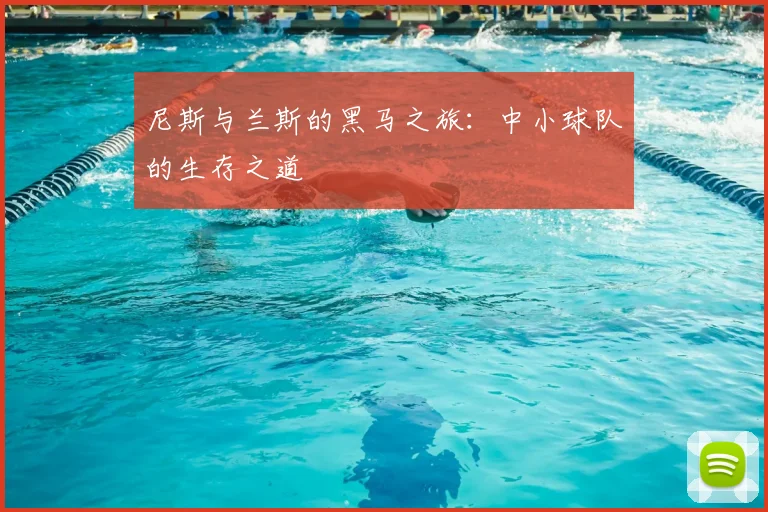 尼斯与兰斯的黑马之旅:中小球队的生存之道